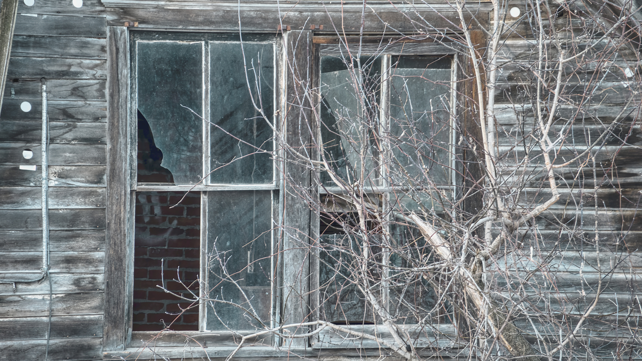 Exterior Home Repair